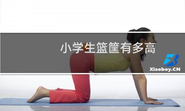 小学生篮筐有多高图片