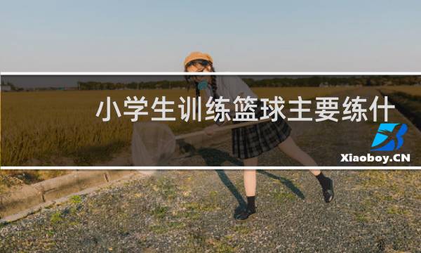 小学生训练篮球主要练什么图片