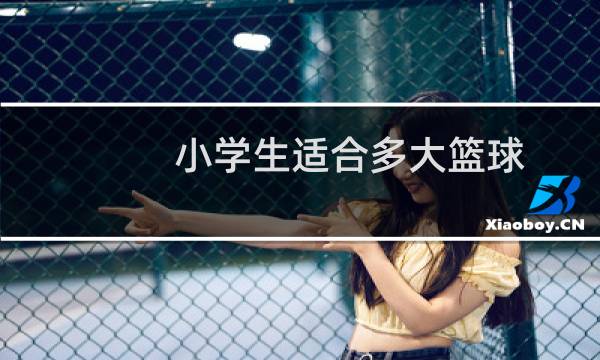 小学生适合多大篮球图片