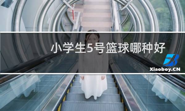 小学生5号篮球哪种好图片