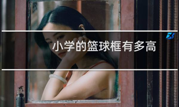 小学的篮球框有多高图片
