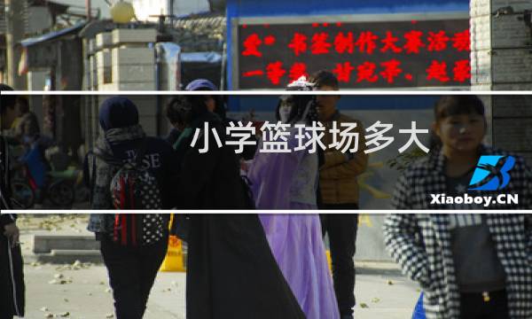 小学篮球场多大图片