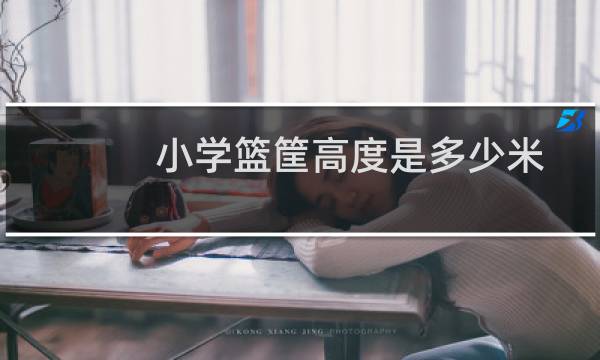 小学篮筐高度是多少米图片