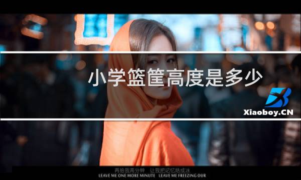 小学篮筐高度是多少图片