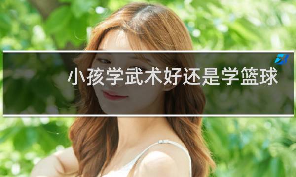 小孩学武术好还是学篮球好图片