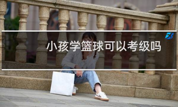 小孩学篮球可以考级吗图片
