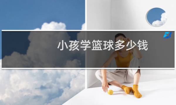小孩学篮球多少钱图片