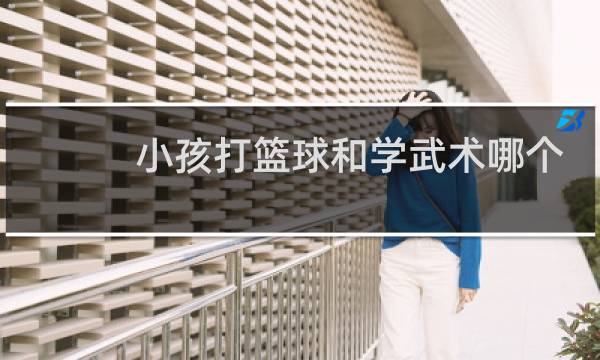 小孩打篮球和学武术哪个好图片