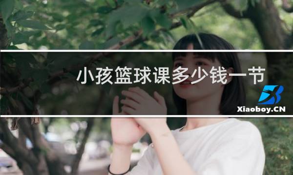 小孩篮球课多少钱一节图片