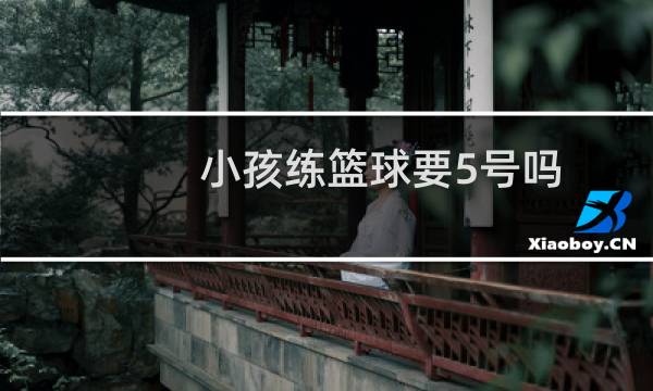 小孩练篮球要5号吗图片