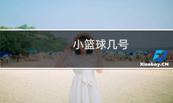 小篮球几号图片