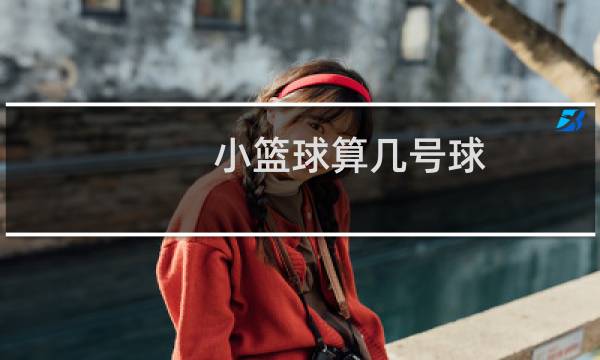 小篮球算几号球图片