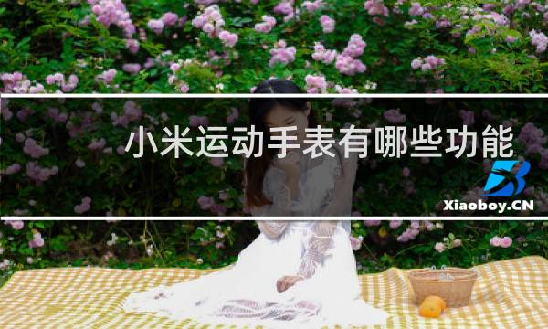 小米运动手表有哪些功能图片
