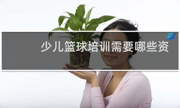 少儿篮球培训需要哪些资质图片