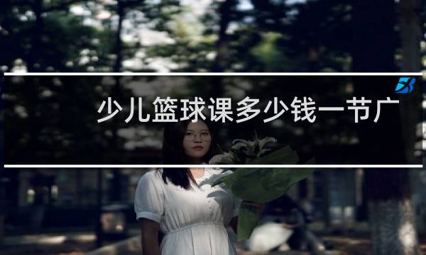 少儿篮球课多少钱一节广州图片