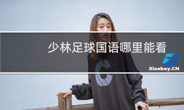 少林足球国语哪里能看图片