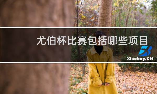 尤伯杯比赛包括哪些项目图片