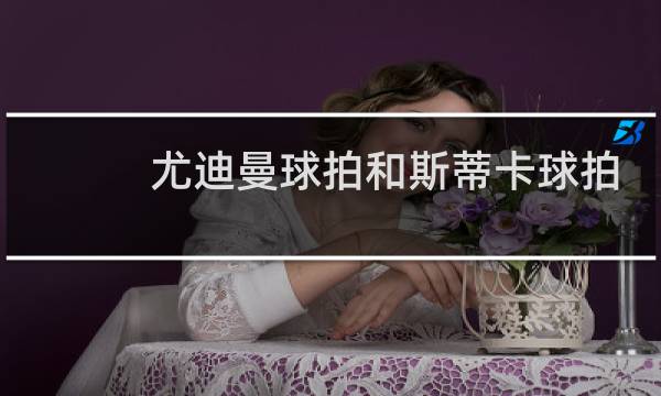 尤迪曼球拍和斯蒂卡球拍哪个好图片
