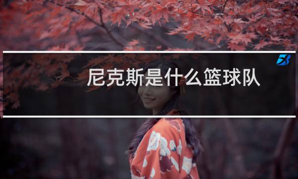 尼克斯是什么篮球队图片