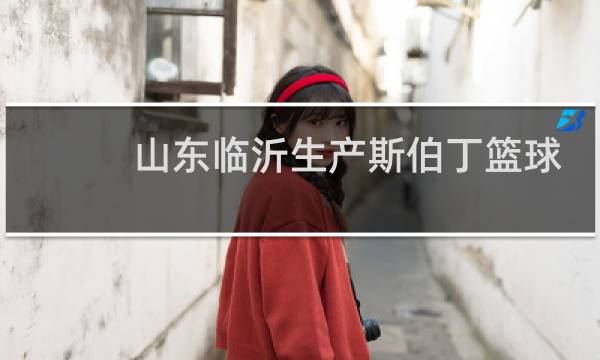 山东临沂生产斯伯丁篮球吗图片