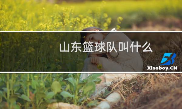 山东篮球队叫什么图片