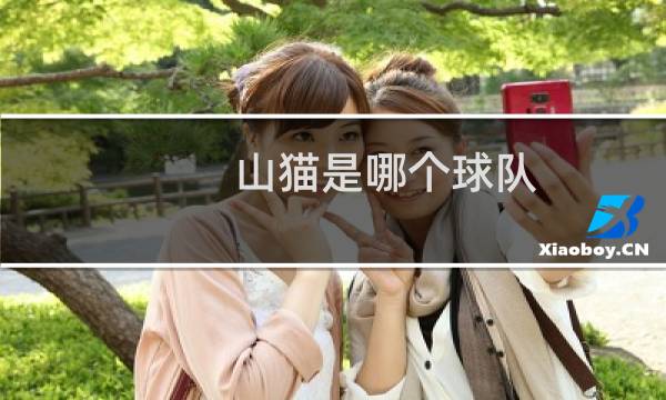 山猫是哪个球队图片