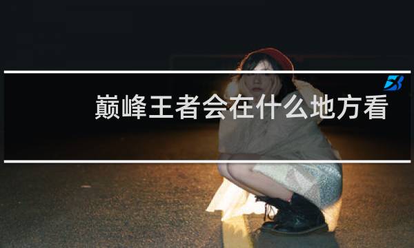 巅峰王者会在什么地方看图片