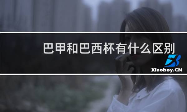 巴甲和巴西杯有什么区别图片