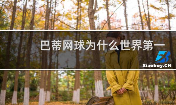 巴蒂网球为什么世界第一图片