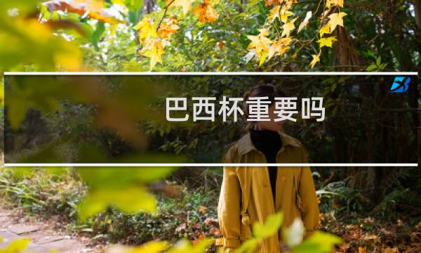 巴西杯重要吗图片