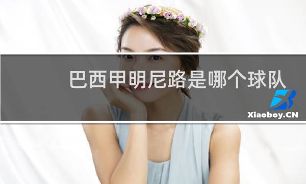 巴西甲明尼路是哪个球队图片
