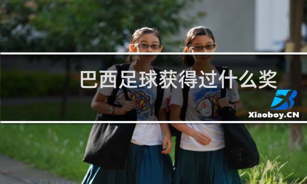 巴西足球获得过什么奖图片