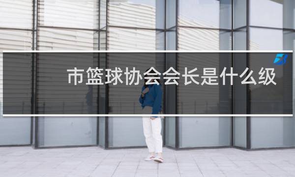 市篮球协会会长是什么级别图片