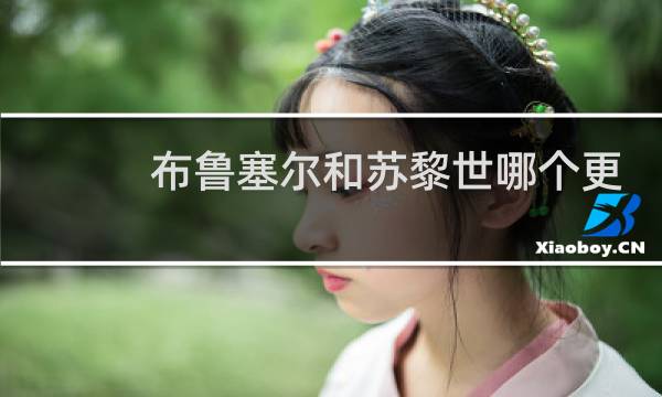 布鲁塞尔和苏黎世哪个更杯图片