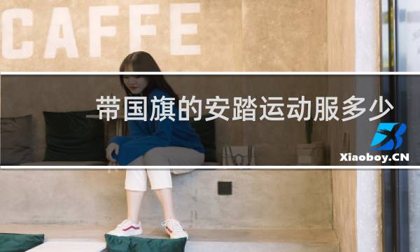 带国旗的安踏运动服多少钱图片