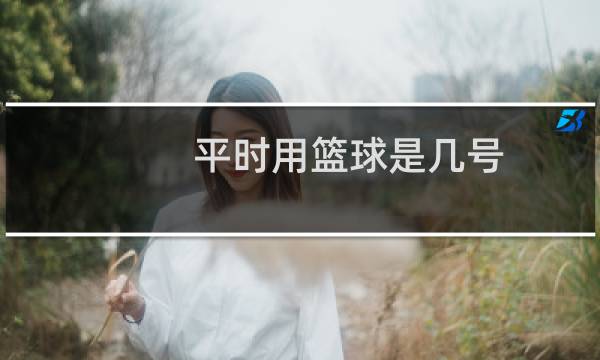 平时用篮球是几号图片