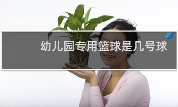 幼儿园专用篮球是几号球图片