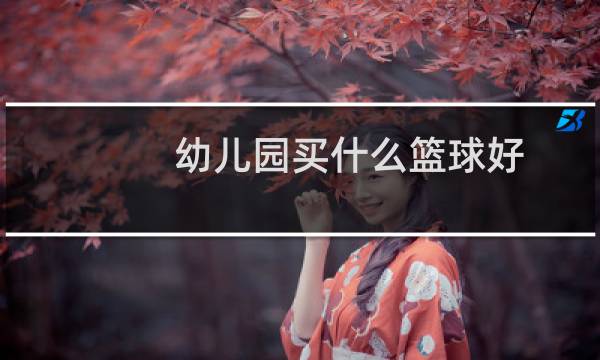 幼儿园买什么篮球好图片