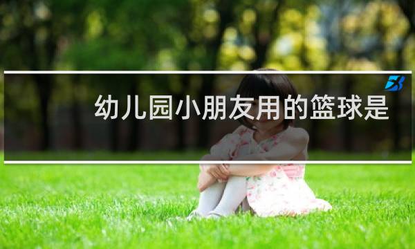 幼儿园小朋友用的篮球是几号图片