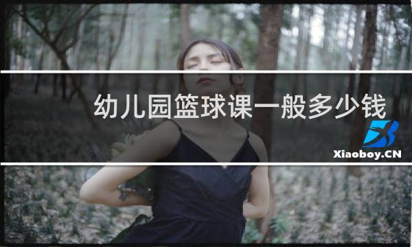 幼儿园篮球课一般多少钱图片