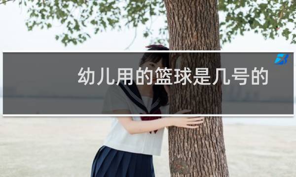 幼儿用的篮球是几号的图片
