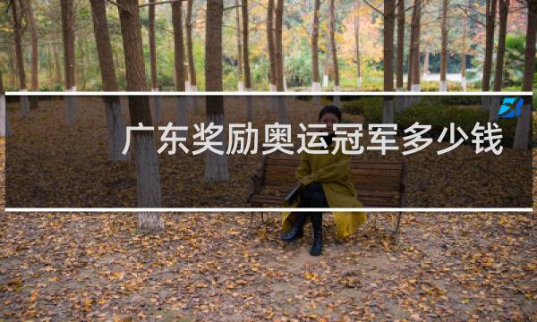 广东奖励奥运冠军多少钱图片