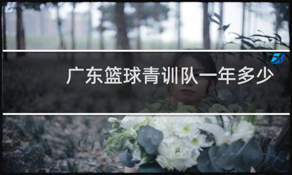 广东篮球青训队一年多少钱图片