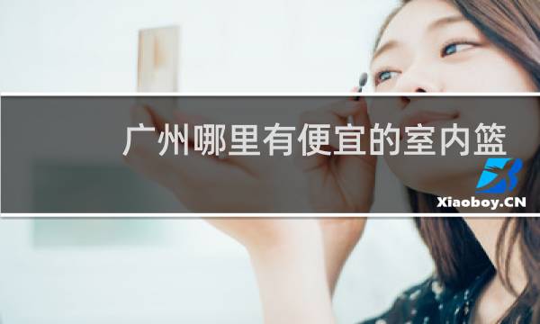 广州哪里有便宜的室内篮球场图片