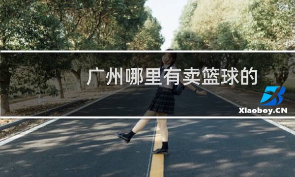 广州哪里有卖篮球的图片