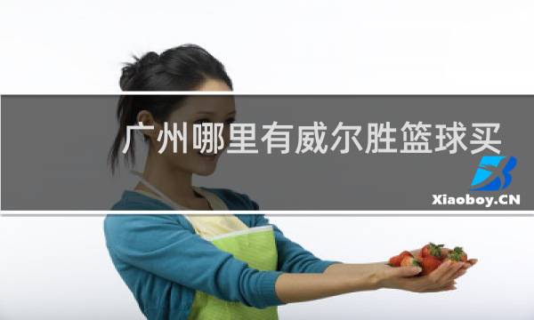 广州哪里有威尔胜篮球买图片
