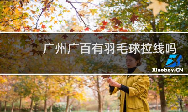 广州广百有羽毛球拉线吗图片