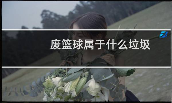 废篮球属于什么垃圾图片