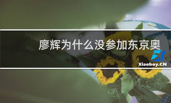 廖辉为什么没参加东京奥运会图片