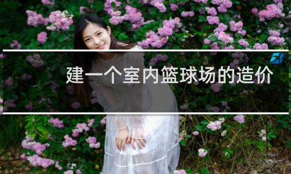 建一个室内篮球场的造价大概是多少图片